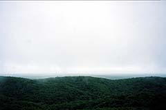 雨の釧路湿原(釧路市立湿原展望台、1998年8月16日）