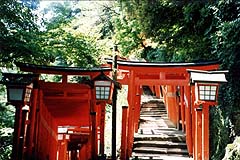 稲成神社の千本鳥居（島根県津和野市、1998年8月28日）