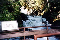 峠から流れる渓流（Beckler River、1999年7月30日）