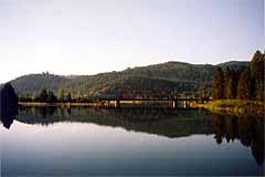 水面に浮かぶ（Kootenai River、1999年8月5日）