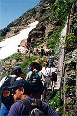 グリンネルグレイシャーへのトレイルその２（Grinnell Glacier、1999年8月10日）